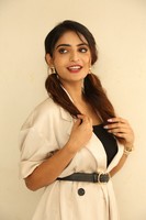 Actress Ananya Nagalla Pictures